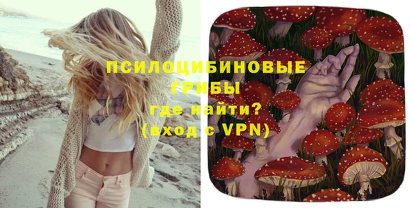 гашик Абинск